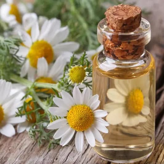 8 como escolher creme para estrias de acordo com formulação como escolher creme para estrias de acordo com formulação